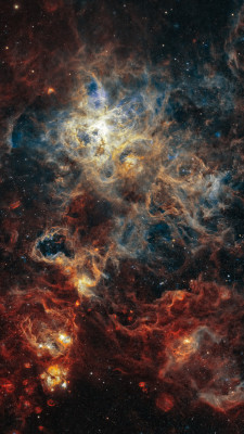 Astrofotografía de NGC2070 - Nebulosa Tarántula en narrowband en la categoría NGC2070